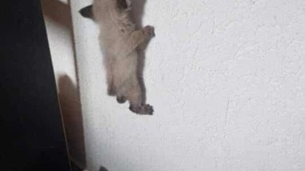 Английский