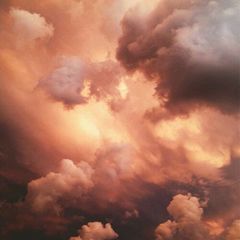 Любопытство 