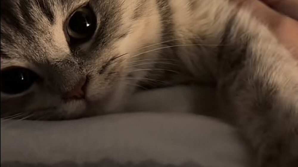 🤎Психология отношений🤎