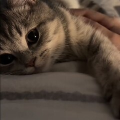 🤎Психология отношений🤎