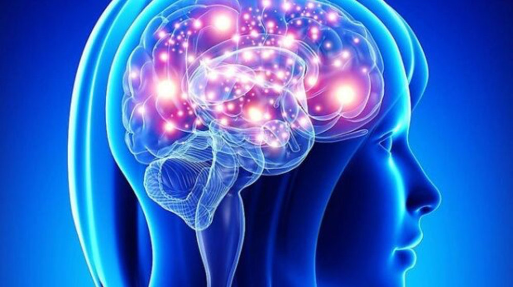 Мозг, мышление, ум