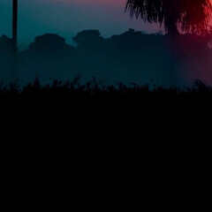 Художественные книги.Феминизм