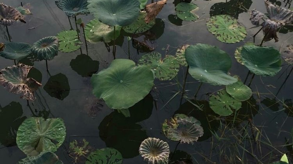 Атмосферное, захватывающее