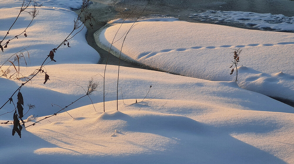 Что читать зимой: выбор редакции Seasons of life