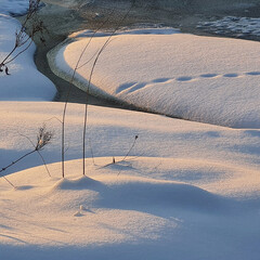 Что читать зимой: выбор редакции Seasons of life