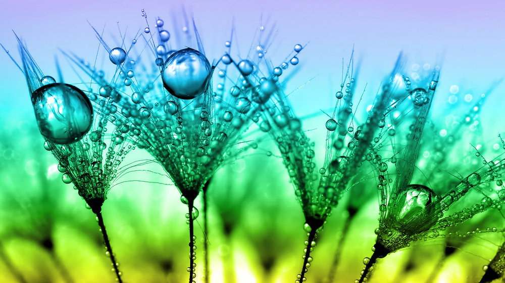 Интернет, SMM