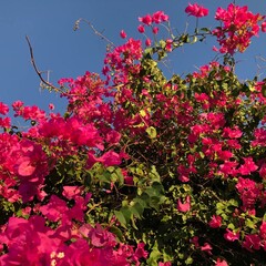 для Путешествий🚵🏼🏔️🛤️ 🏰