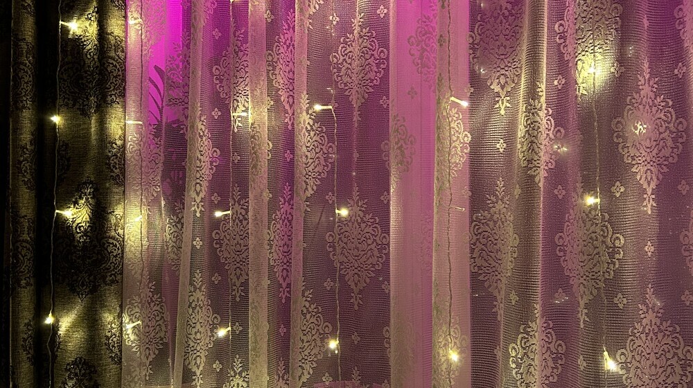 Мой любимый Терри