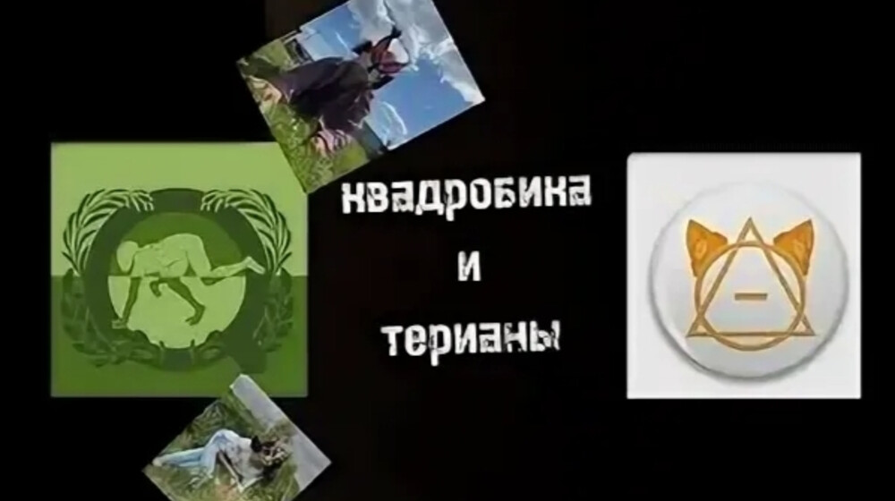 Книги про новые хобби