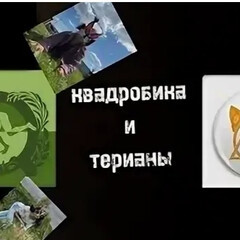 Книги про новые хобби