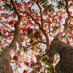 Русская классика