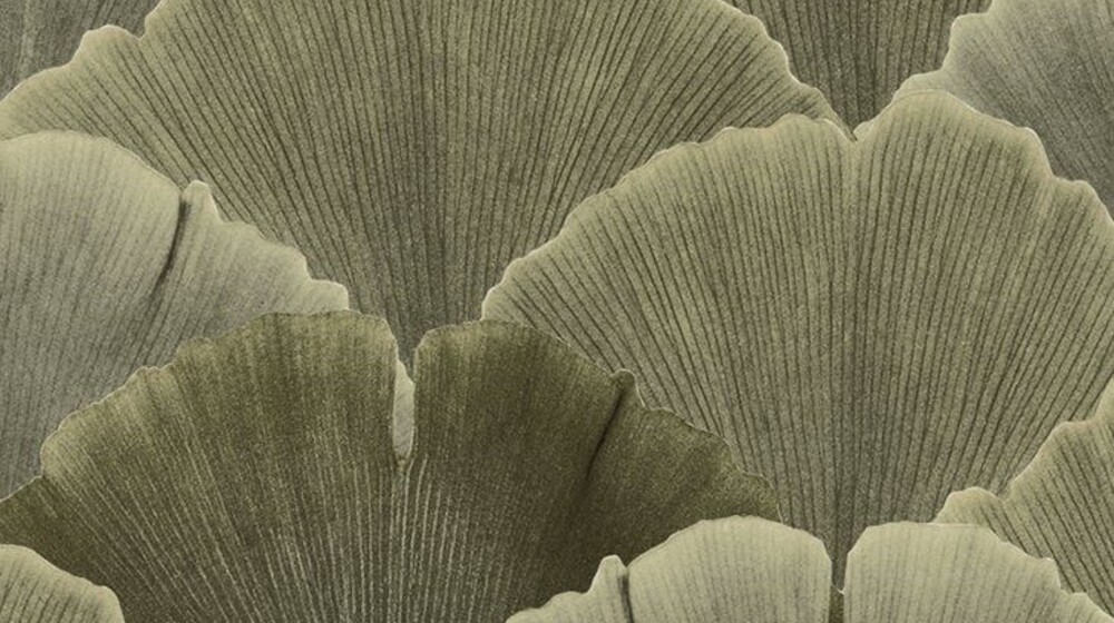 спа для сердца