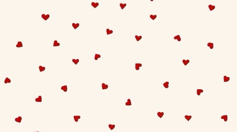 Кэнди Стайнер🏈