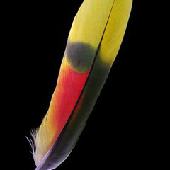 Татьяна Никитична одобряет