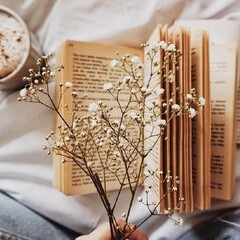 Сценарное мастерство