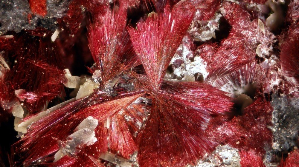 Восприятия