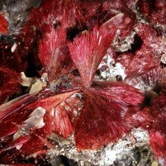 Восприятия