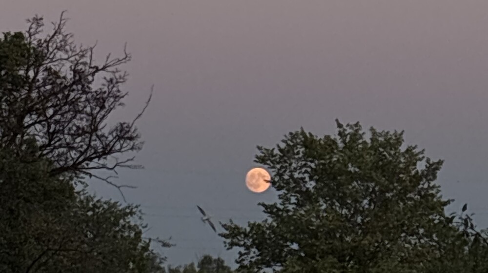 Что-то на мистическом