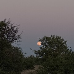 Что-то на мистическом