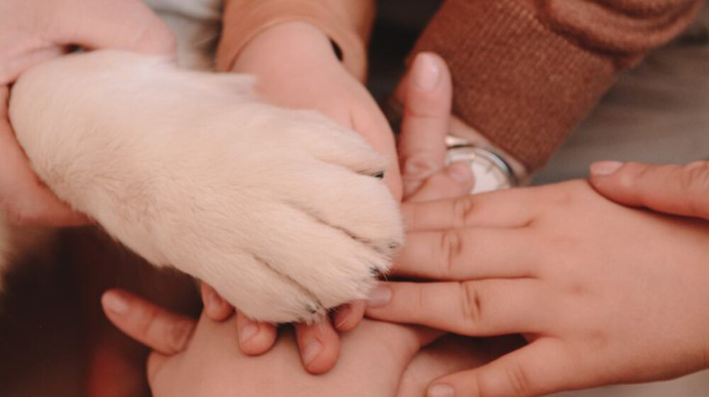 позитивное родительство