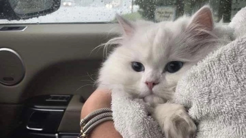 художественное