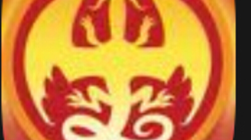 ДРАКОНЬЯ САГА