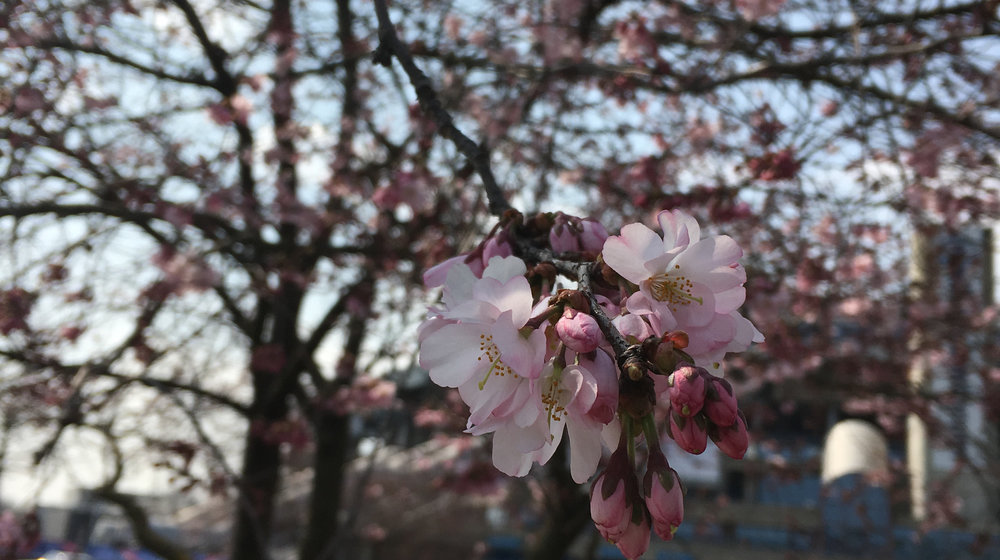 [2018: My Reading Challenge]