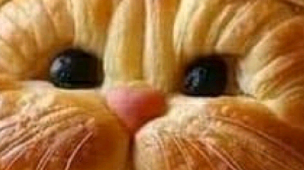 Книги на случай,, Мне скучно "