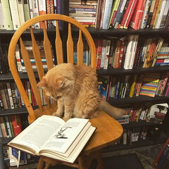 Литературные произведения