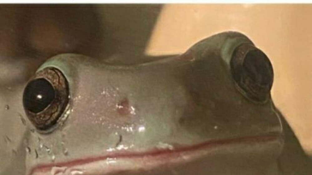 Ни горячо, ни холодно