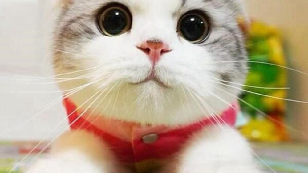 Интересненькое для прочтения