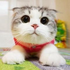 Интересненькое для прочтения