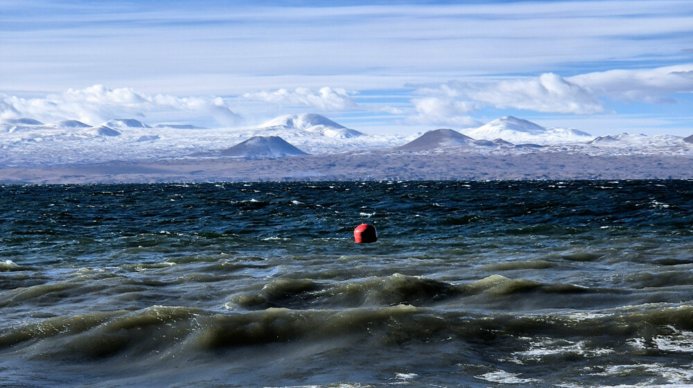 Прочитано в 2026