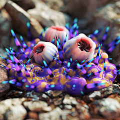 Творчество