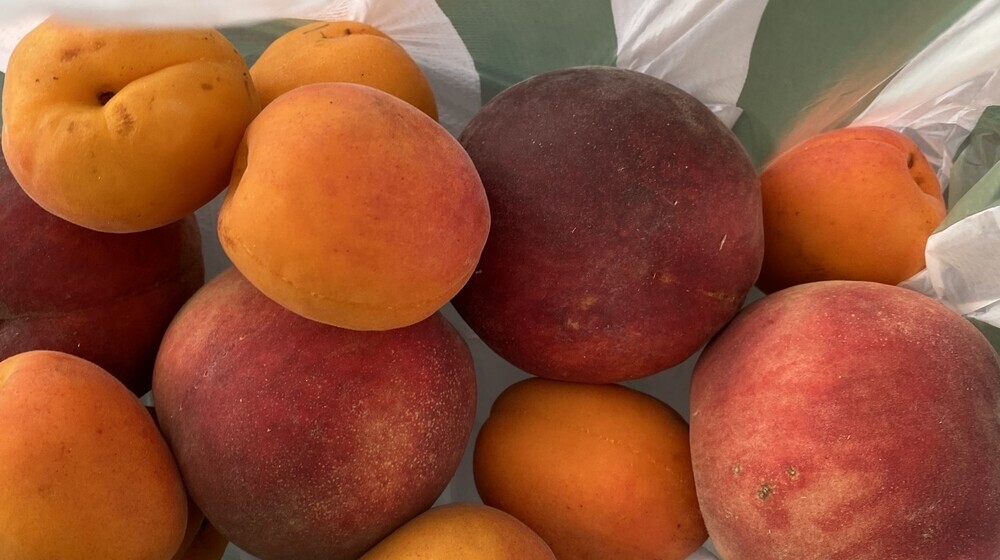 Летнее чтение