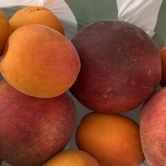 Летнее чтение