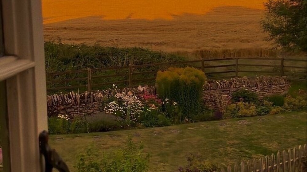 Издательство Манн, Иванов и Фербер