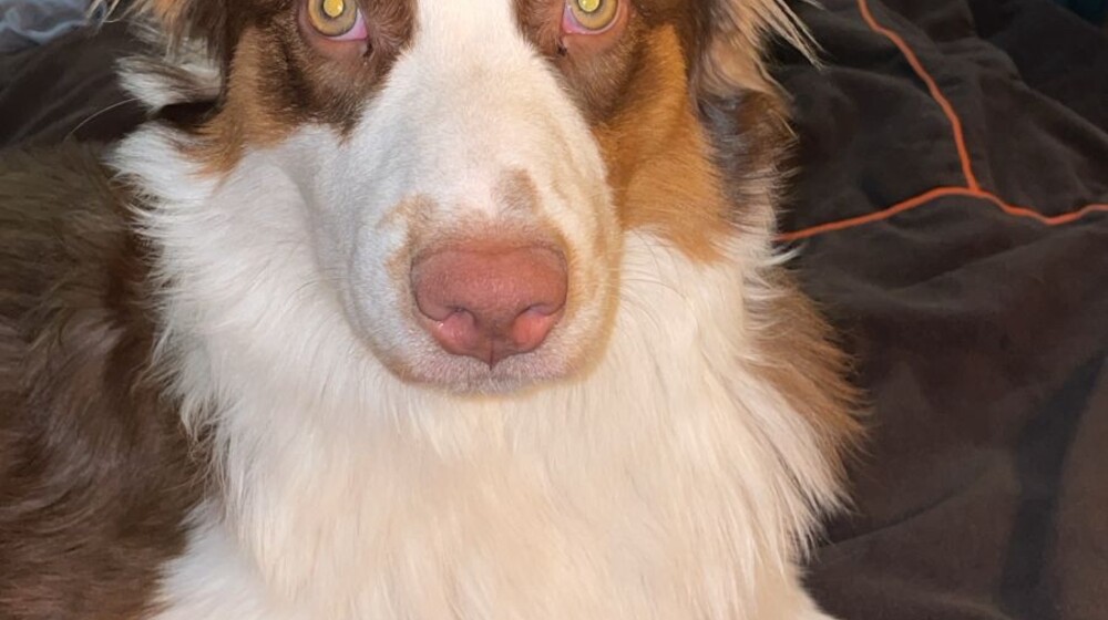 Для меня и тех кто любит книги о любви и магии