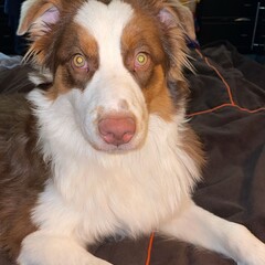 Для меня и тех кто любит книги о любви и магии