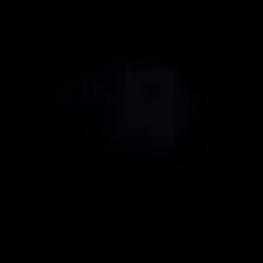 Черный архив 