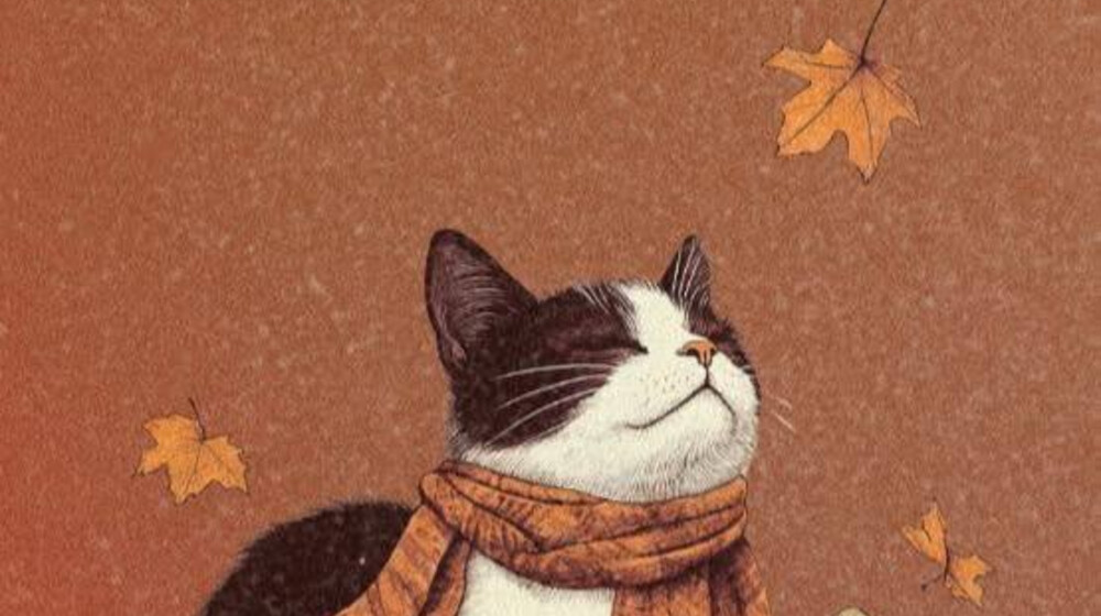 🍁 ОСЕНЬ 🍂