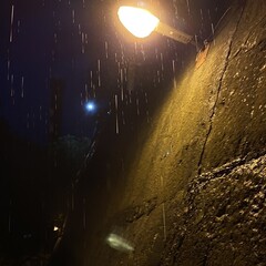 Книги Октября 2024