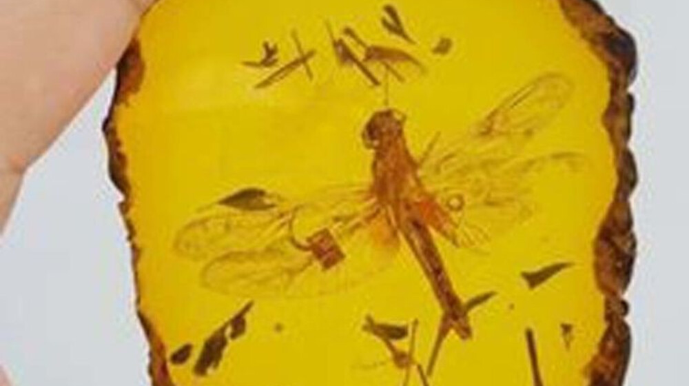 Диана Гэблдон