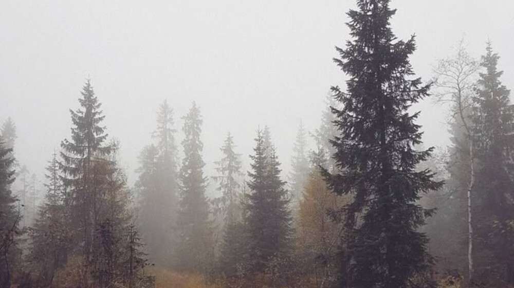 Стефан Анхем