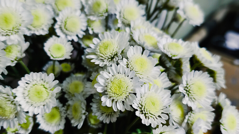 Здоровье.. Питание.. Тело.. Упражнения..