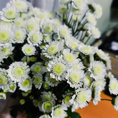 Здоровье.. Питание.. Тело.. Упражнения..