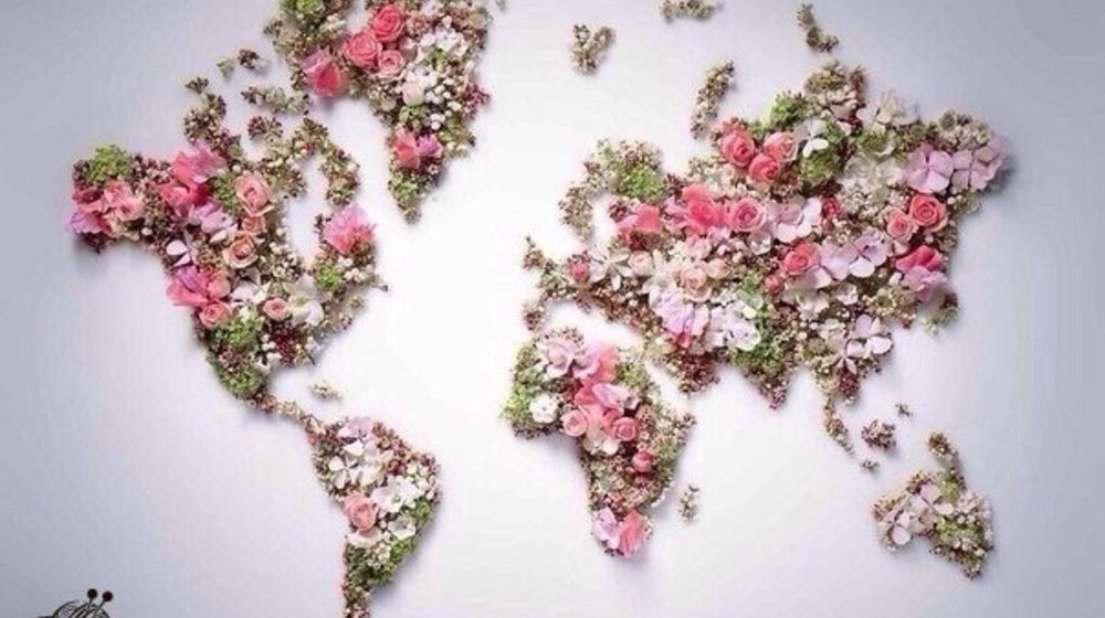 Путешественническое