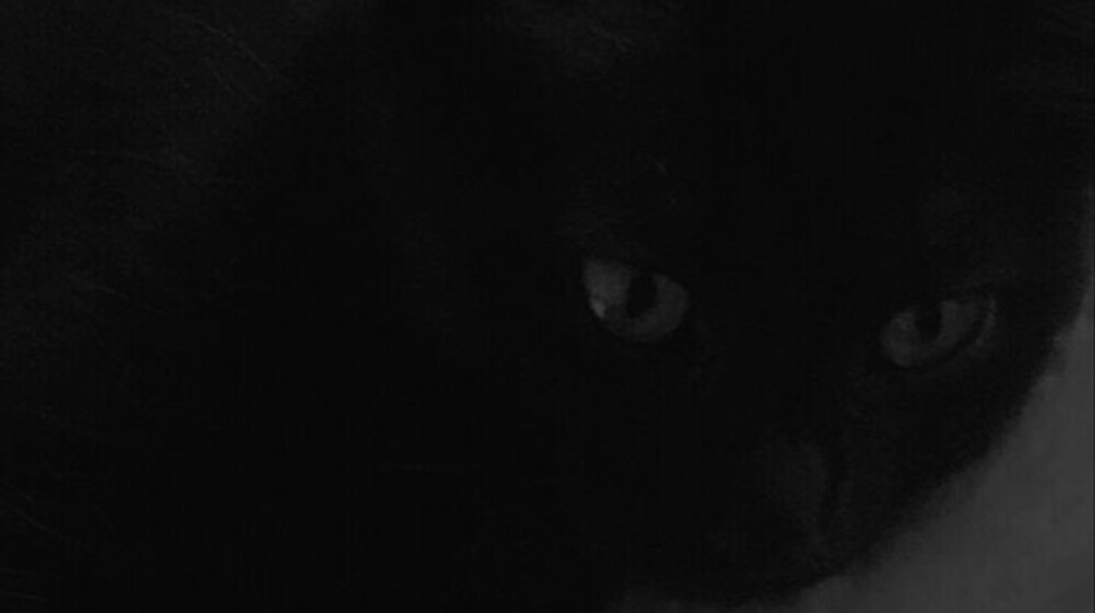 Психология