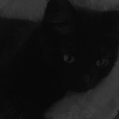 Психология