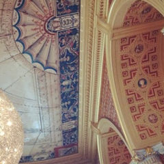 Зарлит — 5 семестр